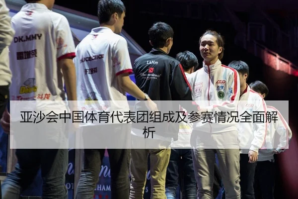 亚沙会中国体育代表团组成及参赛情况全面解析